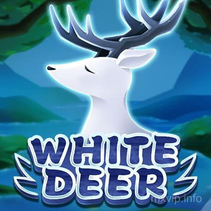 White Deer